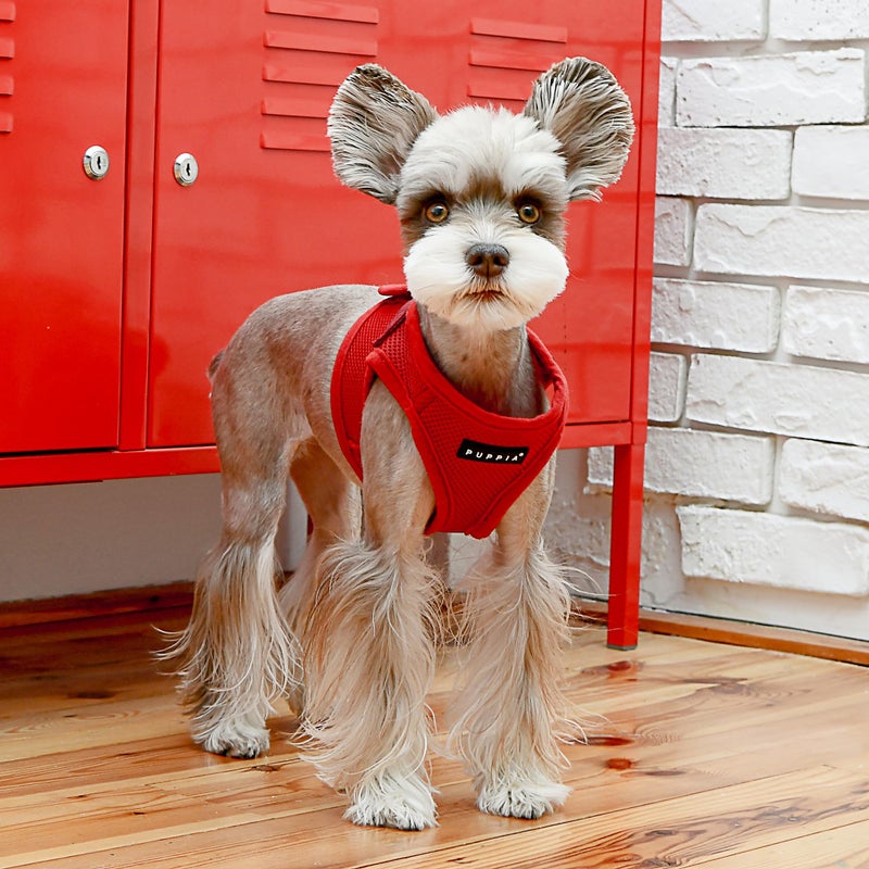 PUPPIA International PUAH305WNSM Soft Harness B Vest, Small, Wine Red - Image 4